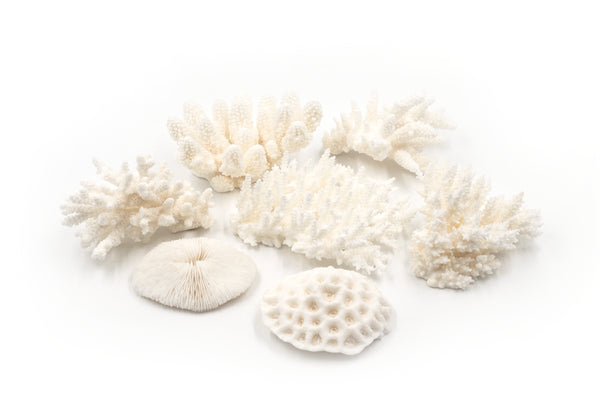 Little Wonders Coral (7 Pieces)